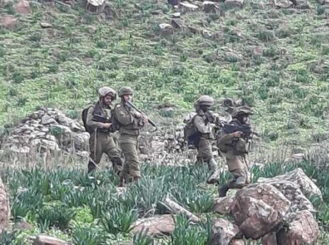 عناصر من قوات العدو تُجري مسحًا في بلدة ميس الجبل..
